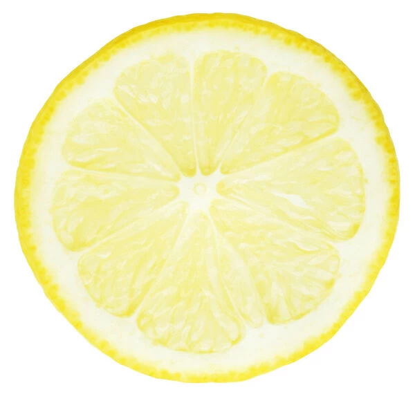 CS_FV19. Citrus limon. Lemon. Yellow subject