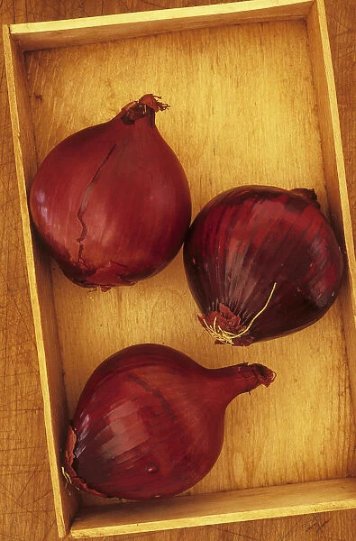 Onion, Red onion, Allium cepa Red Baron