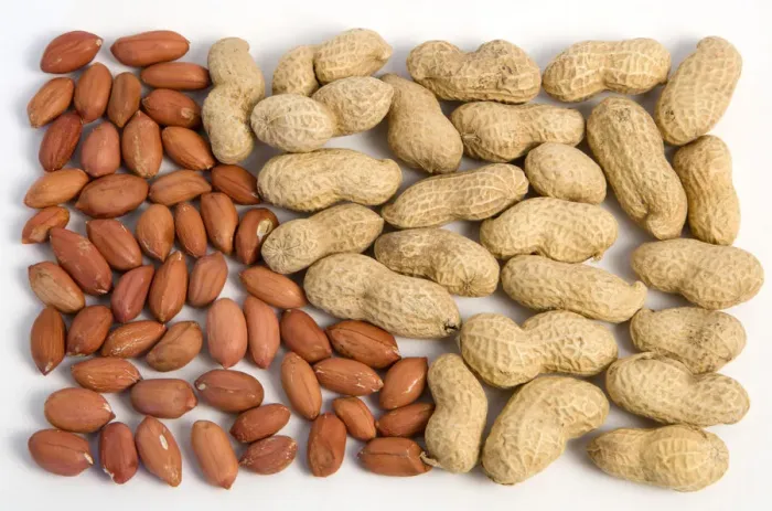 Framed Print : Peanut Print on White Background