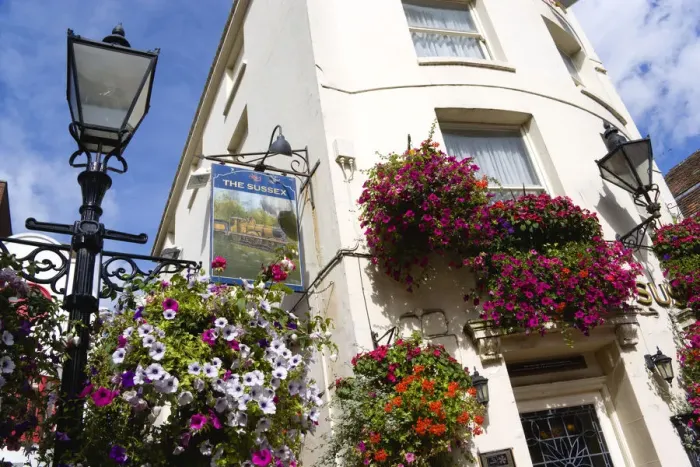 Framed Print : Petunias in Window Boxes - Brighton Print