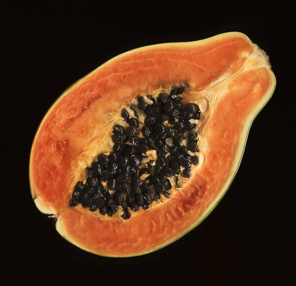 PT_0065. Carica papaya. Papaya. Orange subject. Black b / g