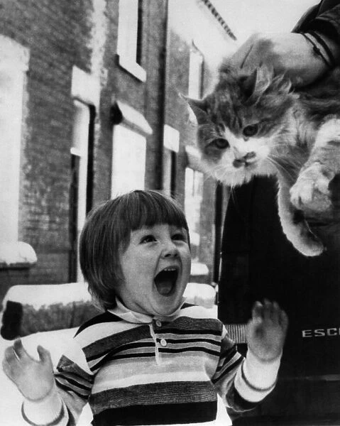 Animals - Cats. Home Again... Daniel Gudjoc welcomes Sammy home. December 1983 P000425