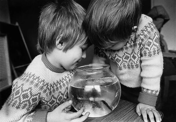 Animals - Children with Fish. February 1971 P000511