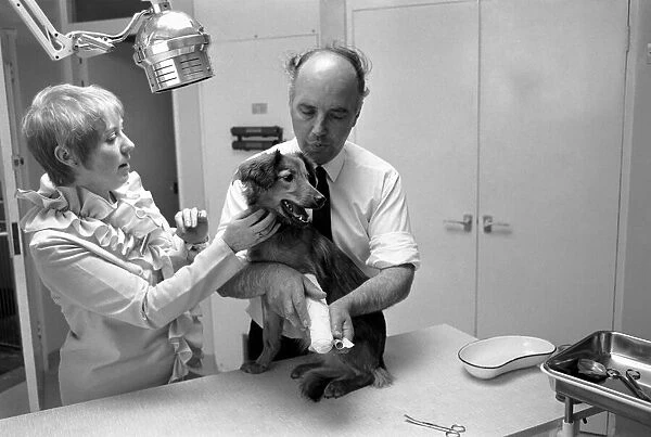 Battersea dogs home opens new wing. June 1970 70-5895-004