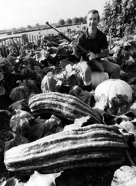 Beady Eyed David Payne sits astride one of his marrows, on the lookout
