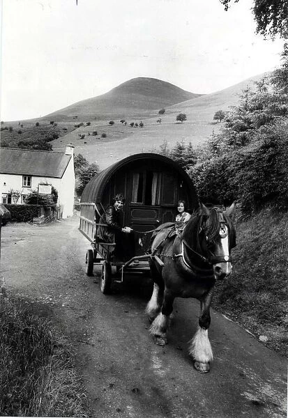 Caravan (|Horse drawn) Basil plods smartly off in the direction of Bwlch