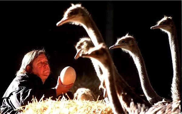 Clarissa Dickson-Wright with some of her ostriches holding egg