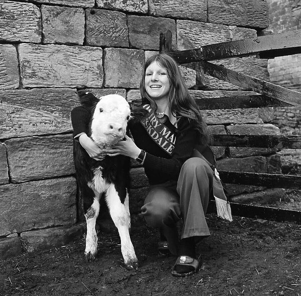 Dairy Queen with calf. 1976