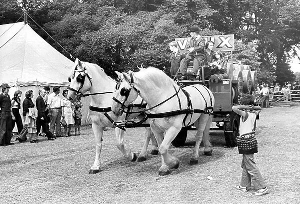The dray horses enter The Durham Show on Lambton Park in 1978