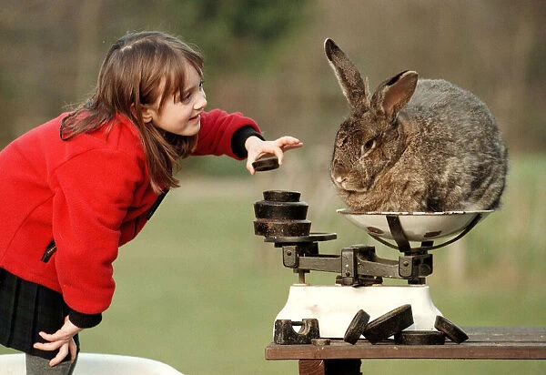 Edith Everest aged six with Bodmin the rabbit March 1999 at Stoneywish Country Park