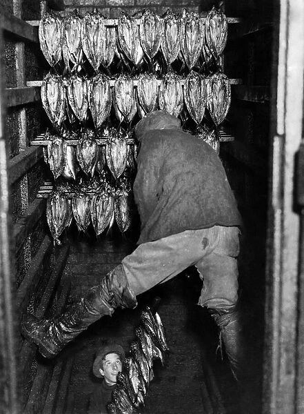 Fishing Industry: Herring. Kippers being smoked. Februrary 1986 P000705