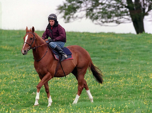 Jockey John McAuley on race horse Serious Hurry, June 1988