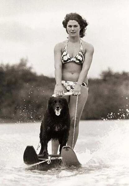 Mandy the Water Skiing dog with owner Ginny Venables at the Forest Lake Water Ski club in