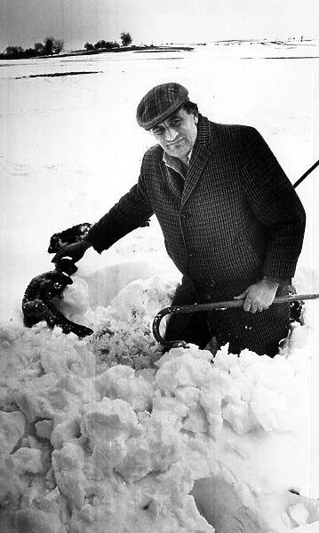 Moment of heartbreak for farmer Mr Richard Vaughan as he pulls a dead lamb from a deep