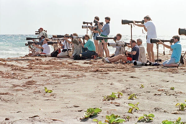 Photographers taking pictures of Diana, Princess of Wales on holiday in Nevis with her
