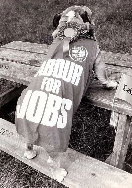 Political Campaign Posters - 1987 The Labour Party - T shirt dog standing