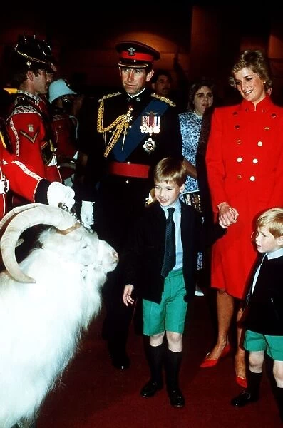 Prince Charles, Princess Diana and Prince William and Prince Harry at the royal