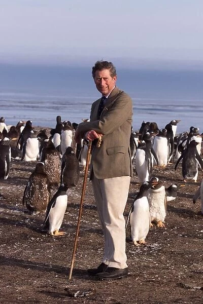 Prince Charles on Sea Lion Island, March 1999 In The Falklands with the Penguins