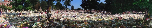 Princess Dianas death. Kensington Palace flowers (4 part join up) - 08  /  09  /  1997