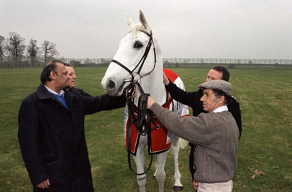 Racing legend Desert Orchid visits inmates at Ashwell Prison, Leicestershire