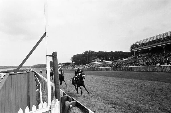 Racing Scenes during Glorious Goodwood. 2nd August 1968