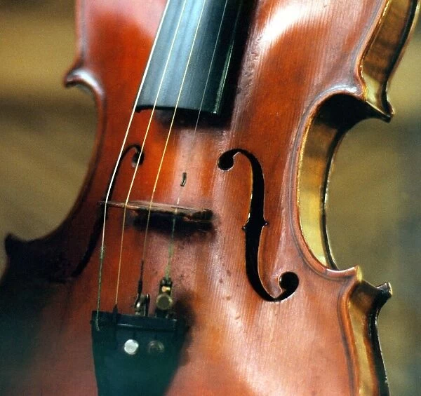 The strings and body of a violin