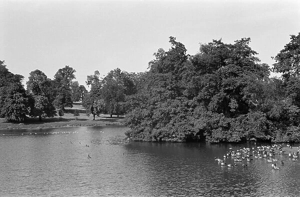 Studley Royal Park, Ripon, North Yorkshire. September 1971