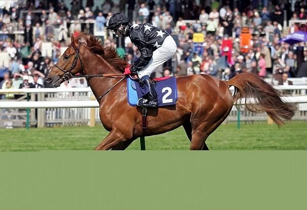 Broomielaw Ridden By Jamie Spencer, Sir Alex Fergusons Horse