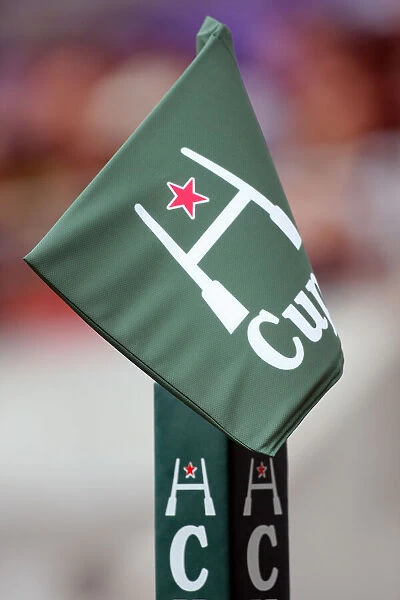 Heineken Cup Flag