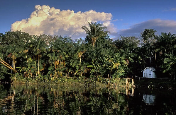 Amazon. South America; Amazon; Brazil; Belem, Ilha do Marajo, river; hut