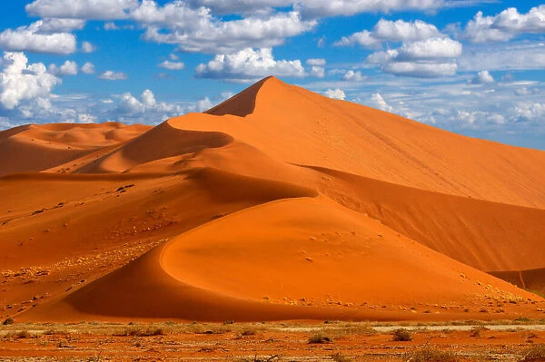 Desert Dune. Sand Dunes, Sossusvlei area, Namib Naukluft National Park