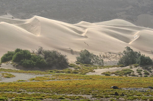 Kuene. Sand dunes, Serra Cafema Wilderness Safaris at Kunene River, Kunene Region, Namibia