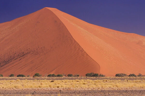 Dune. Sand Dunes, Sossusvlei area, Namib Naukluft National Park, Hardap Region, Namibia