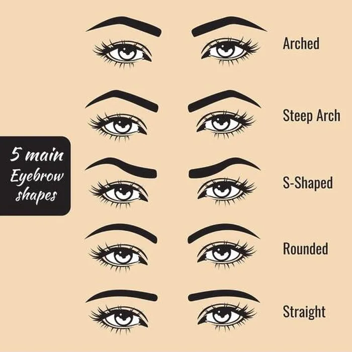 Framed Print : 5 Basic Eyebrow Shapes Vector Print Illustration Framed Print : 5 Basic Eyebrow Shapes Vector Print Illustration