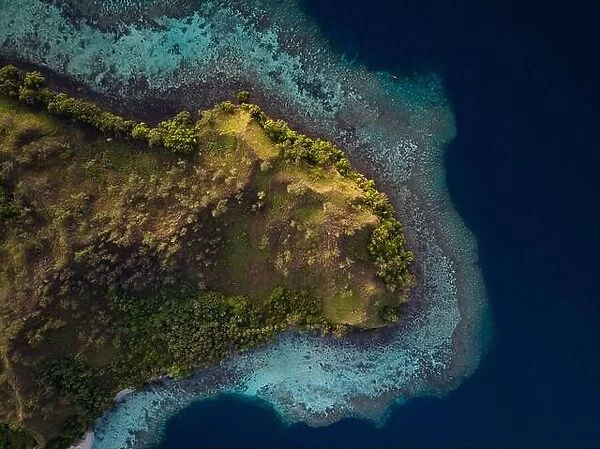 Coral reefs fringe convoluted, tropical islands found in a remote part of the Solomon Islands. This island nation harbors extraordinary biodiversity