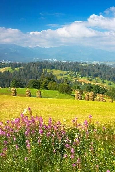 Countryside spring landscape, Podhale region, Poland
