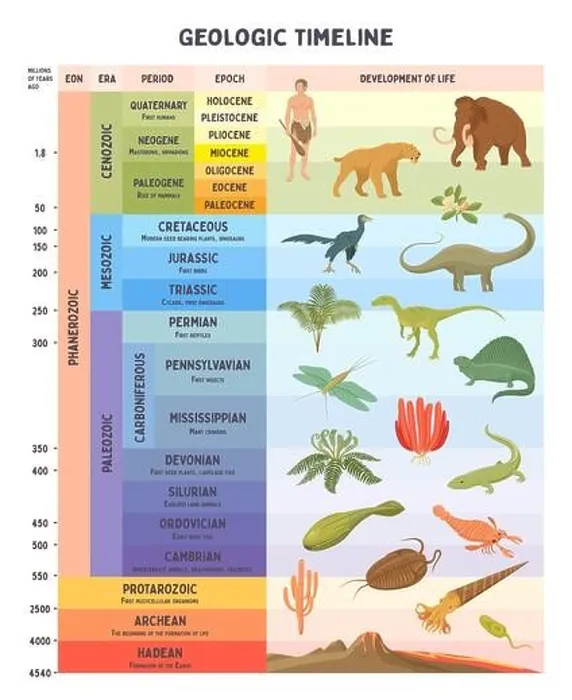 Framed Print : Geologic Timeline Print Framed Print : Geologic Timeline Print