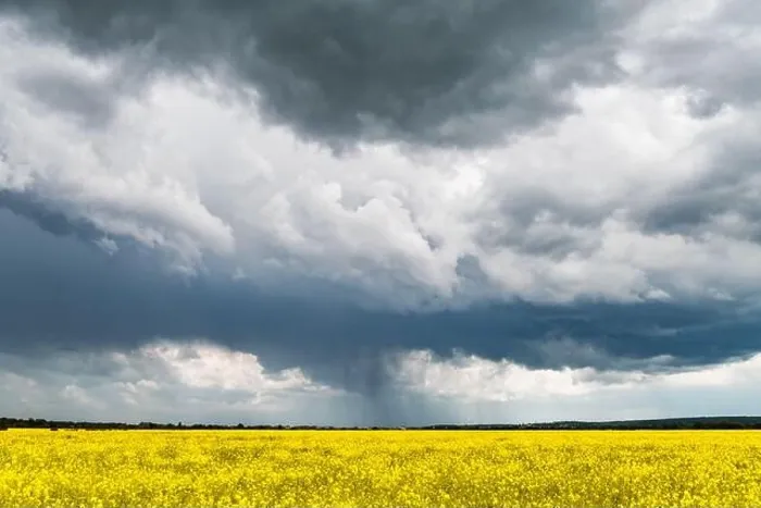 Framed Print : Dramatic Storm Clouds Print over Yellow Rapeseed Fields Framed Print : Dramatic Storm Clouds Print over Yellow Rapeseed Fields