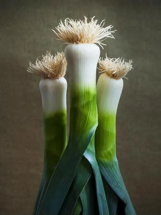 Framed Print : Three leeks Print Framed Print : Three leeks Print