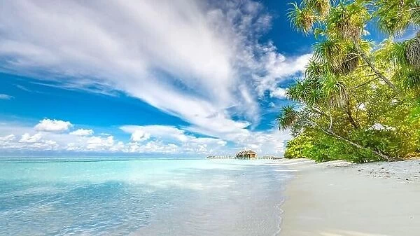Maldives landscape. Tropical beach scene, blue sea and palm trees and white sand, summer vacation and holiday background concept. Exotic