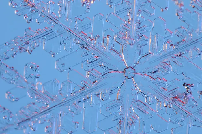 Framed Print : Snowflake Print under Microscope Magnification