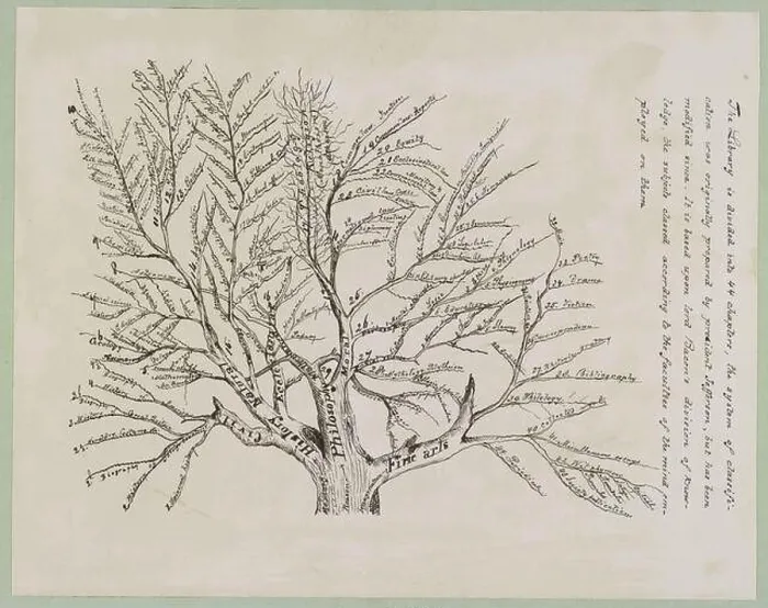 Framed Print : Tree of Library Classifications Print Framed Print : Tree of Library Classifications Print