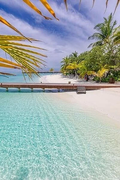 Wooden pier bridge at tropical beach in the Maldives. Palm tree leaves with amazing sea lagoon. Idyllic nature view