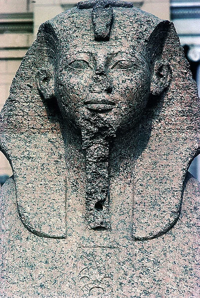 Cairo: Archaeological Museum outside of Cairo, head of a pink granite statue of a pharaoh