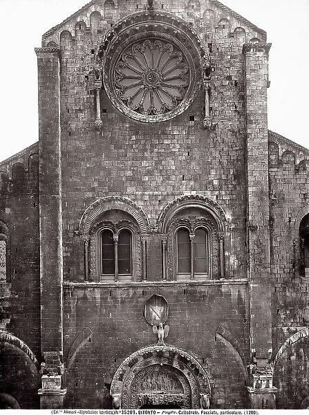 Detail of the faade of the Cathedral of San Valentino, in Bitonto, Apulia