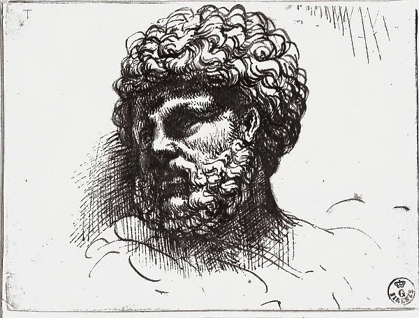 Head of a bearded man, drawing by Domenico Campagnola, in the Gabinetto dei Disegni e delle Stampe, Uffizi Gallery, Florence