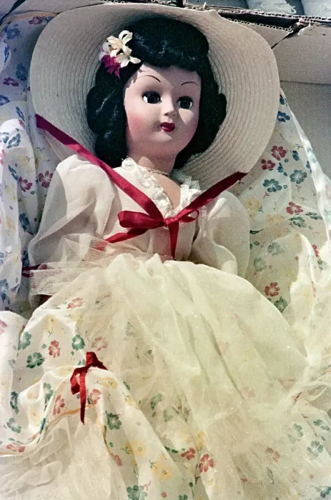Framed Print : Plastic doll