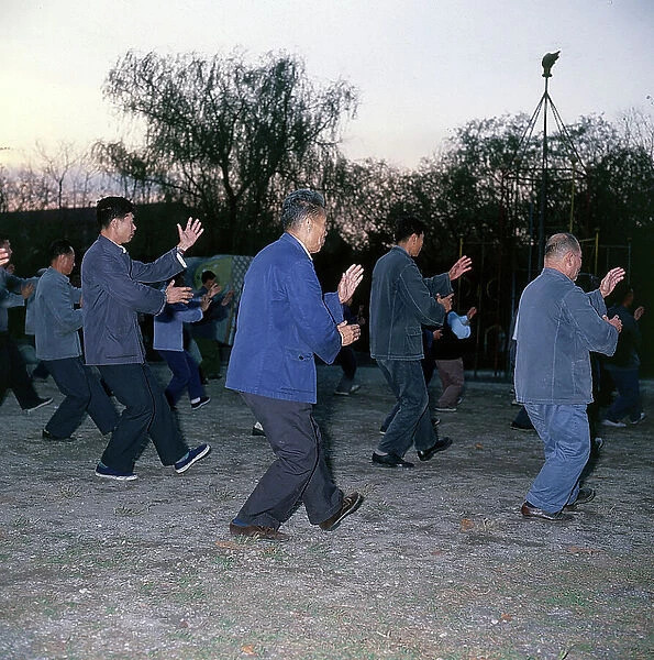 Shanghai. In the public gardens at sunset boxe is practised, a chinese meditative gymnastic