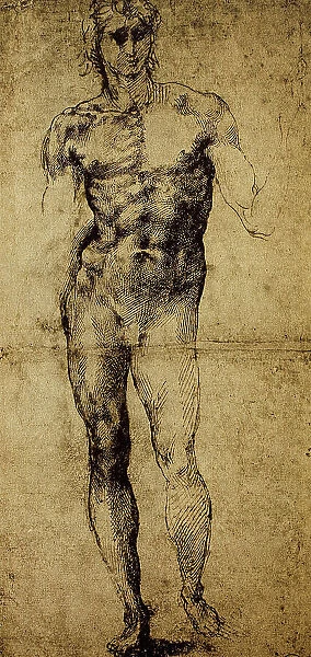 Study for a male nude, Michelangelo Buonarroti (1475-1564), drawing, Paris, Louvre Museum