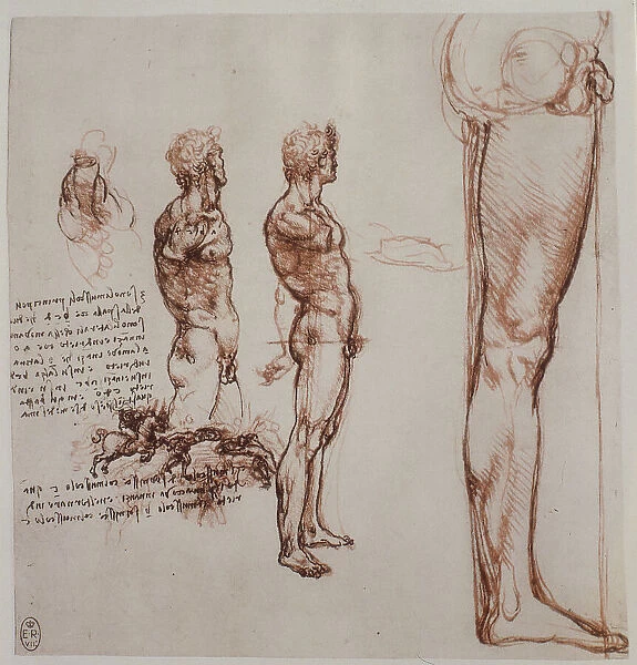 Study of the proportions of the human body, sanguine and pen drawing by Leonardo da Vinci and preserved at the Royal Library of Windsor